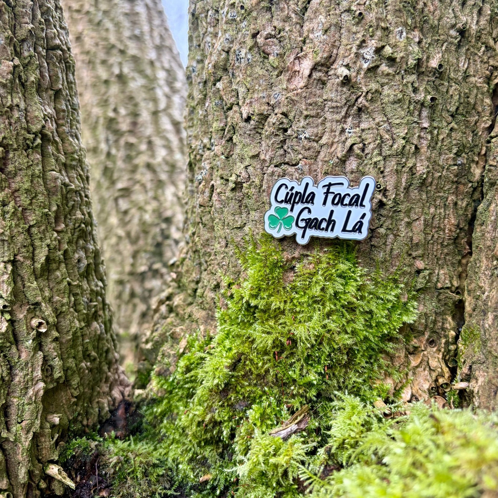 Cúpla Focal Gach Lá Pin Badge - GaelMade