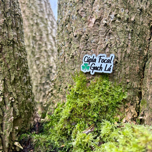 Cúpla Focal Gach Lá Pin Badge - GaelMade