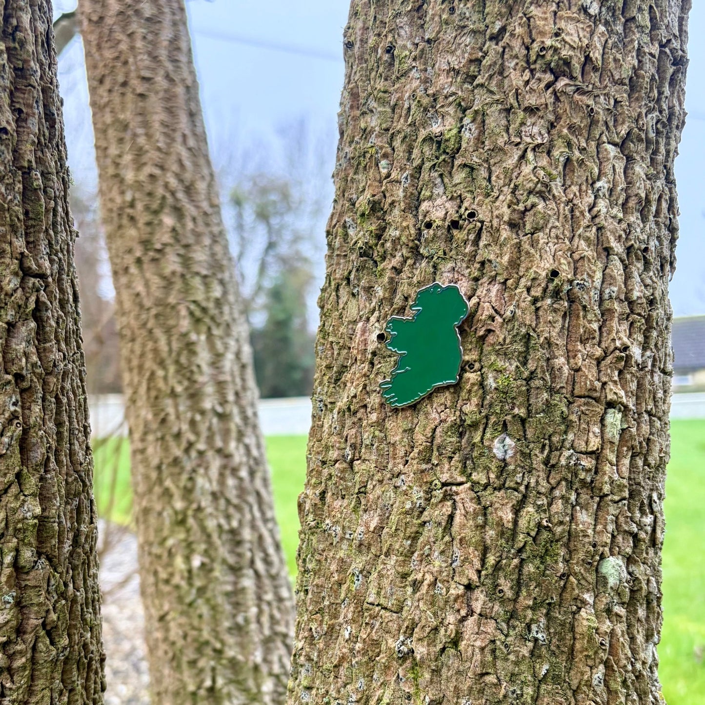 Éire Pin Badge - GaelMade